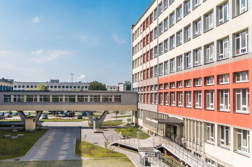 爱游戏-中国篮球青训教练员专业能力提升及培训体系建设，篮球青训师资格证好考么