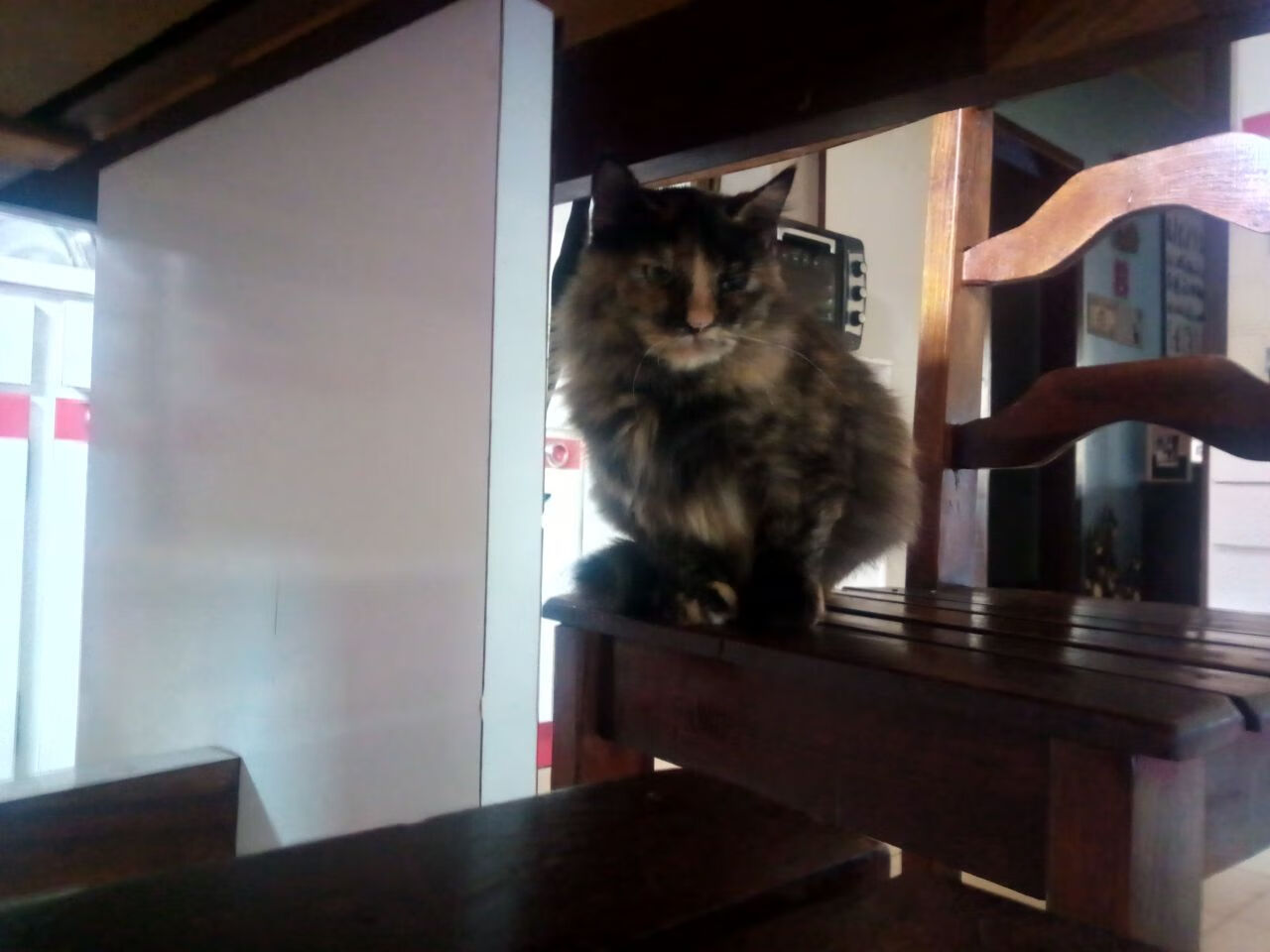 爱游戏体育娱乐-英超青训中心心理压力管理新方法促进球员成长，英超青训怎么算