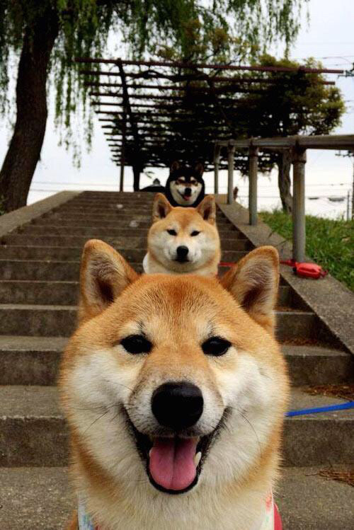 爱游戏官网app-体测标准改革促使球员体能全面进步，体测标准各项所占比例