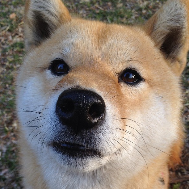 爱游戏入口-体育新闻中心推广体育赛事短视频版权保护技术，如何创意体育类短视频