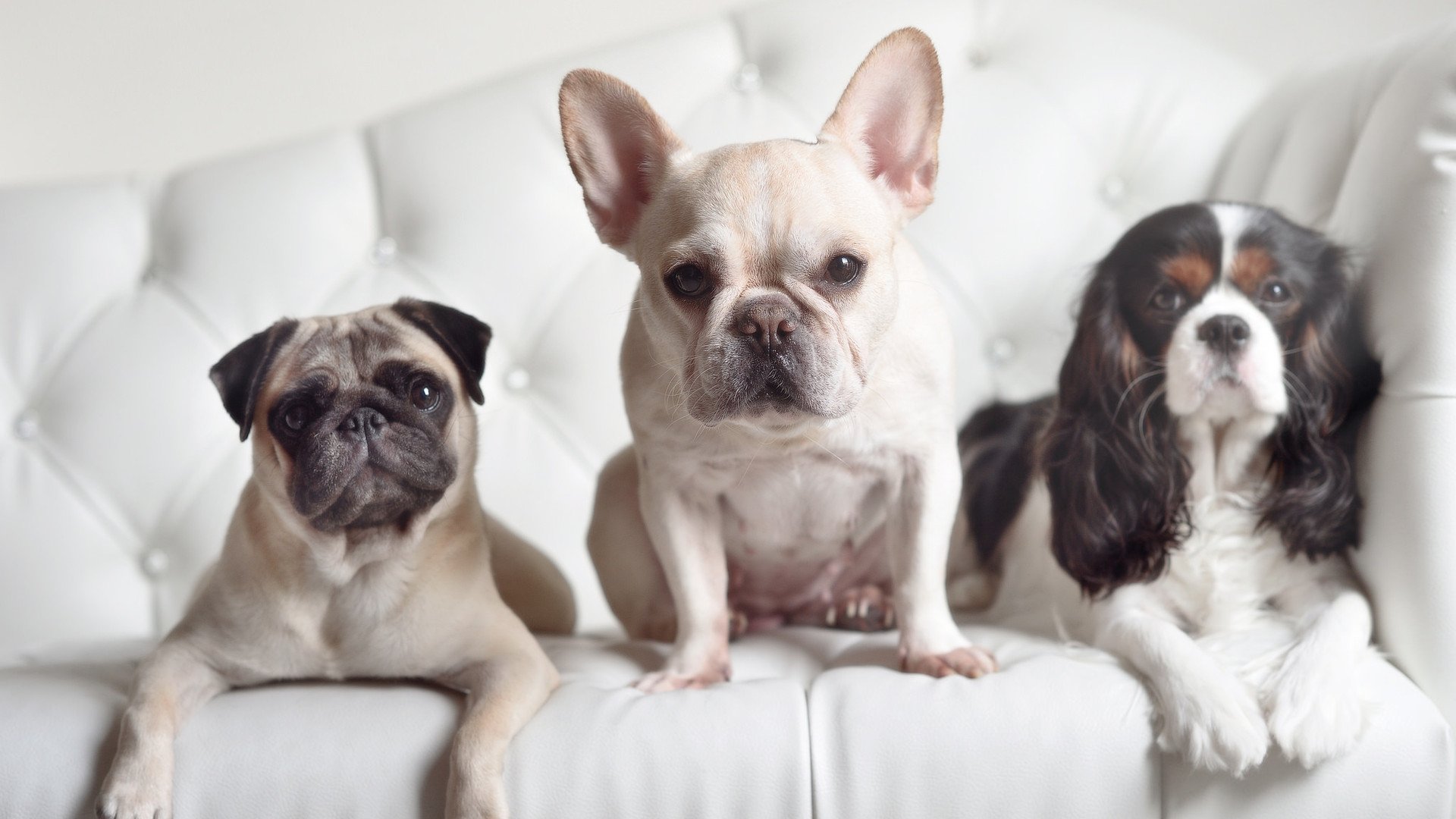 爱游戏体育在线-青训体能测试是否覆盖爆发力与耐力结合，青训体验