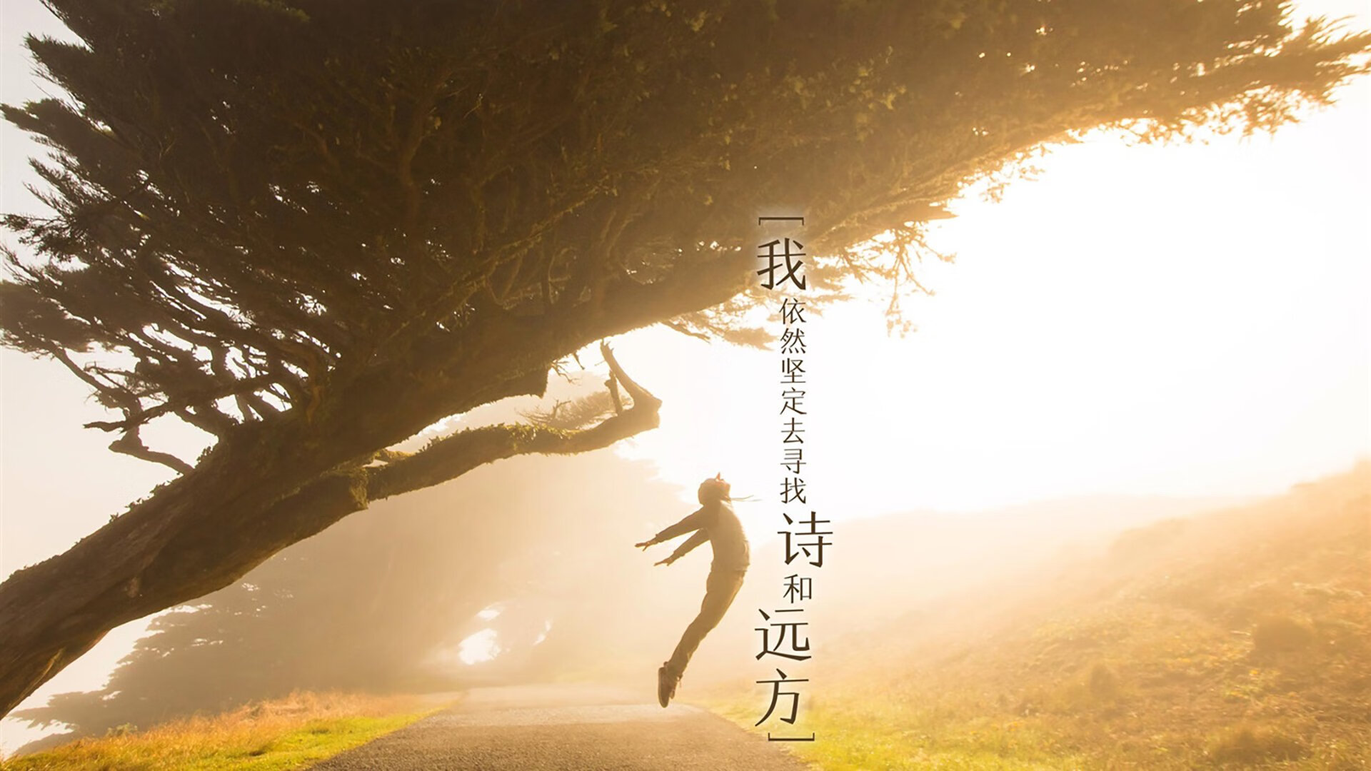 爱游戏-澳大利亚青少年橄榄球赛事激发年轻球员潜力，澳大利亚国家橄榄球联赛