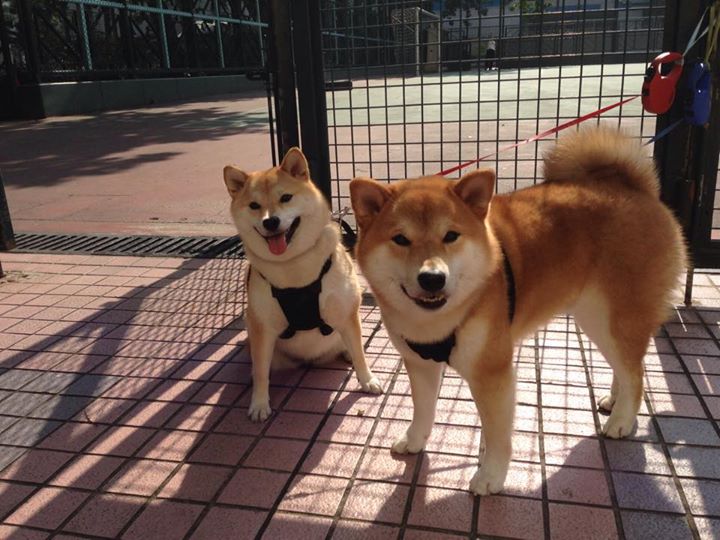 爱游戏平台-特色足球主题的城市文化夜市快速兴起,带动夜经济,足球城是哪个城市的别称