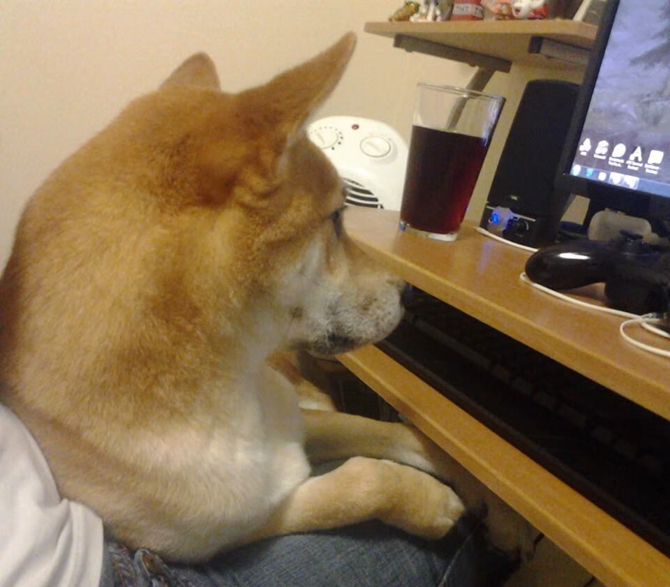 爱游戏官网充值-英超终极较量:精彩场场不容错过!,英超集锦